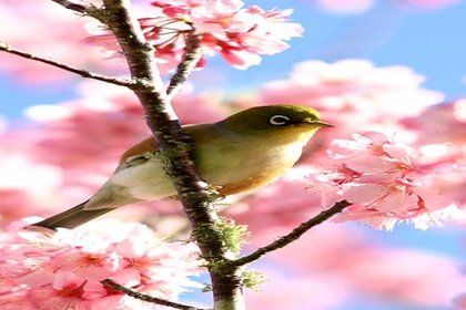 Happy Spring!